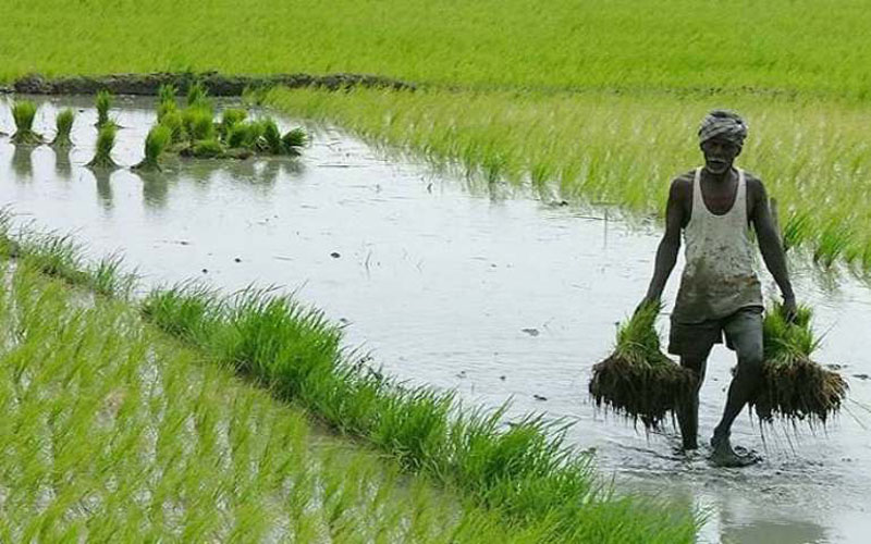 कांग्रेेस घोसना पत्र