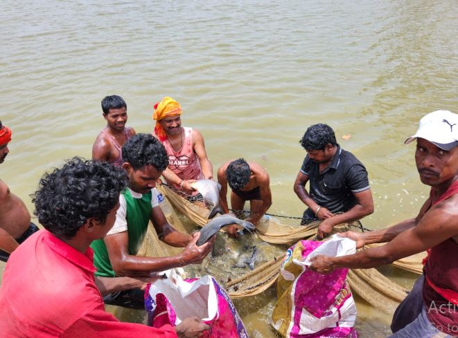 machhli