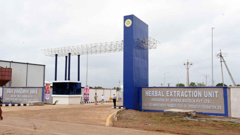 हर्बल और आयुर्वेदिक उत्पादों का प्रमुख केंद्र बनेगा छत्तीसगढ़ 1 हर्बल 1