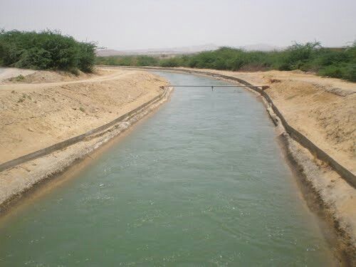 WhatsApp Image 2025 11 12 at 1.36.30 PM