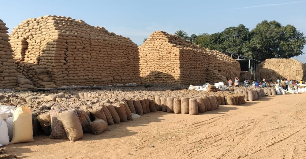 धान खरीदी का महाअभियान