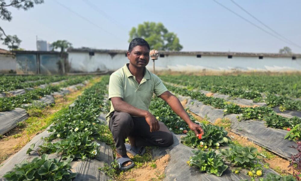 WhatsApp Image 2026 01 20 at 6.30.35 PM