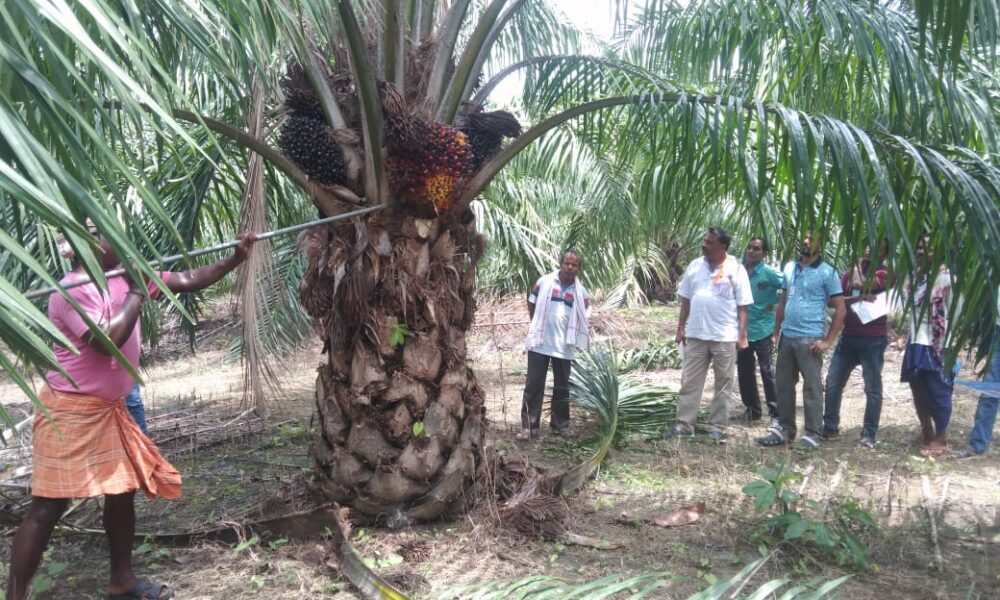 छत्तीसगढ़ सरकार का बड़ा निर्णय