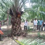 छत्तीसगढ़ सरकार का बड़ा निर्णय