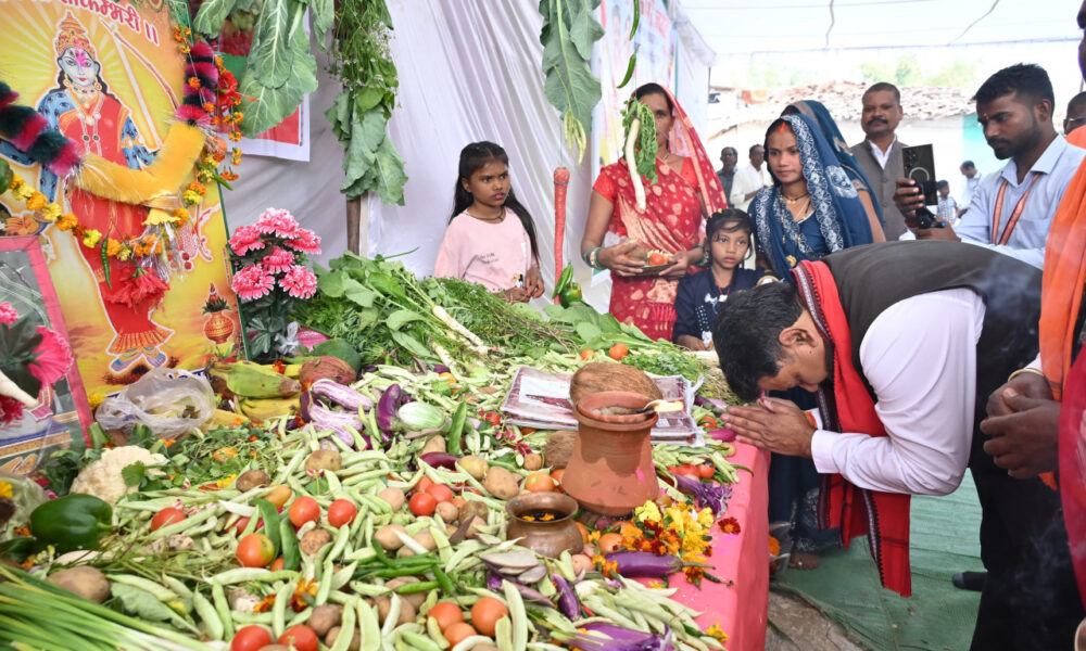 माता शाकम्बरी अन्न प्रकृति और करुणा की प्रतीक है