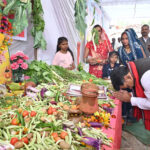 माता शाकम्बरी अन्न प्रकृति और करुणा की प्रतीक है