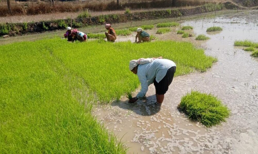 1770731883 86b8734e06247ad44951