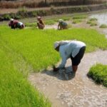 1770731883 86b8734e06247ad44951