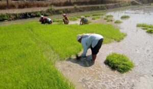 1770731883 86b8734e06247ad44951