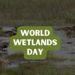 Wetland Habitat Educational Presentation In Black Animated Fun Modern Style