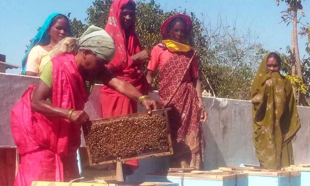 मधुमक्खी पालन 01