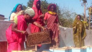 मधुमक्खी पालन 01