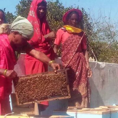मधुमक्खी पालन 01