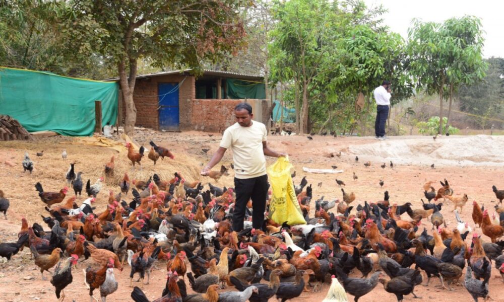 1774625634 6ce2ca96ee185aff9c88