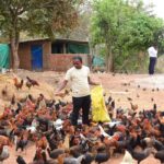 1774625634 6ce2ca96ee185aff9c88