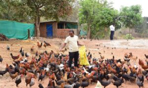 1774625634 6ce2ca96ee185aff9c88