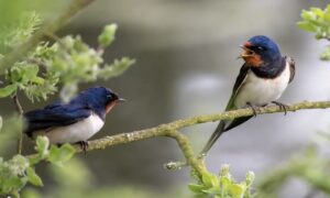 1774875602 e446eee1b5729ca7a0b9