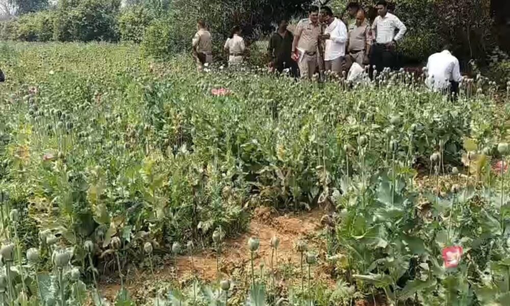 WhatsApp Image 2026 03 23 at 9.41.46 PM