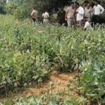 WhatsApp Image 2026 03 23 at 9.41.46 PM