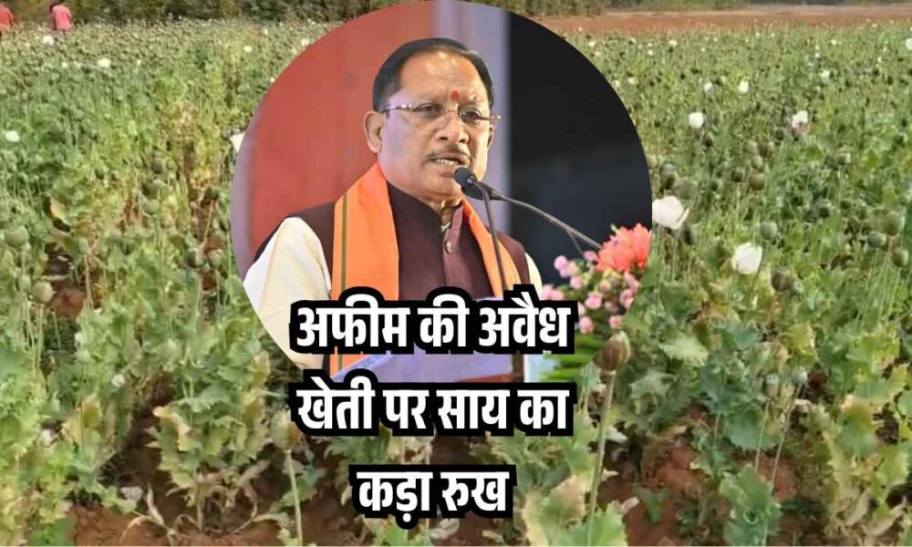 आर्थिक सशक्तिकरण की राह पर बढ़ रहीं ‘लखपति दीदी 2