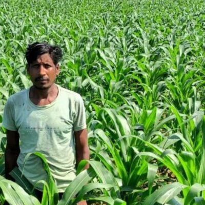 किसान मालती मोहन