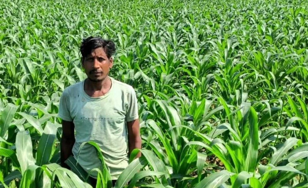 किसान मालती मोहन