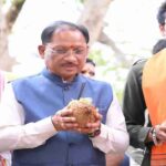 सरहुल उत्सव