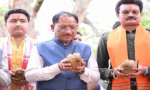 सरहुल उत्सव