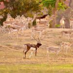 1774864324 829d6770b2470218a13c