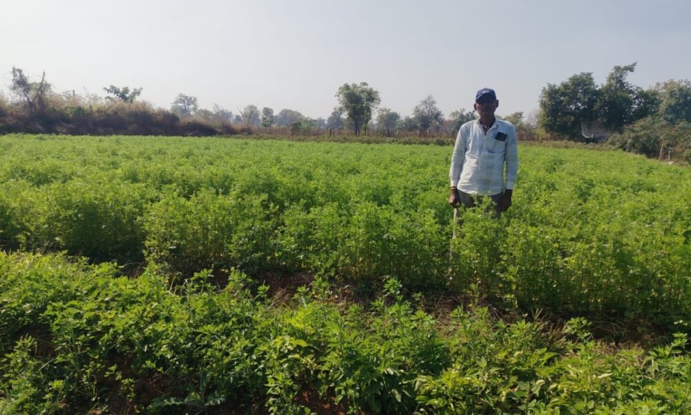 1775048793 8d0152a20161bc236815532465