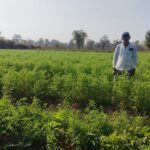 1775048793 8d0152a20161bc236815532465