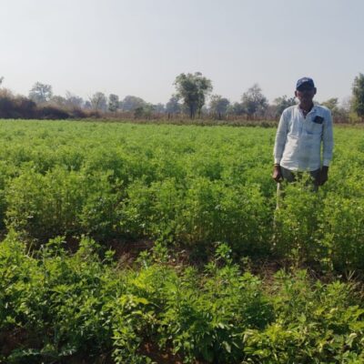 1775048793 8d0152a20161bc236815532465