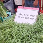 1775401412 d7e1c78abfb587673453