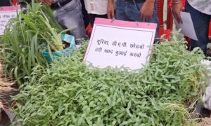 1775401412 d7e1c78abfb587673453