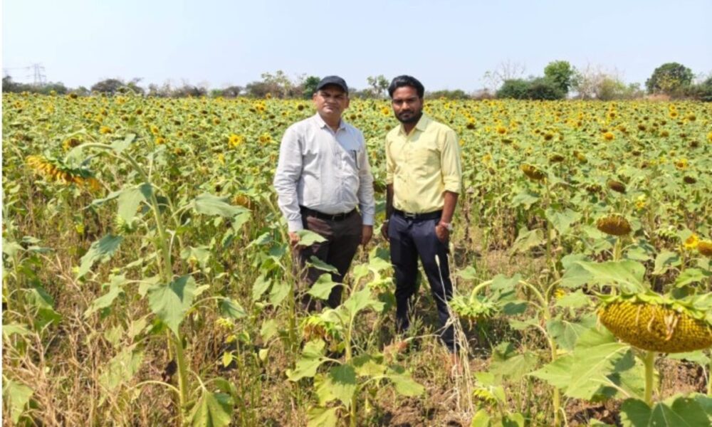 1775742994 b065b48d52be2edd28ff