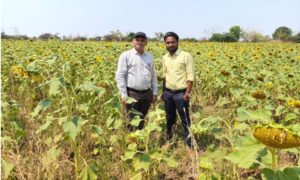 1775742994 b065b48d52be2edd28ff