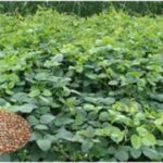 1775826092 d01220b0ffee20f0882a