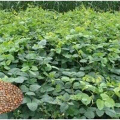 1775826092 d01220b0ffee20f0882a