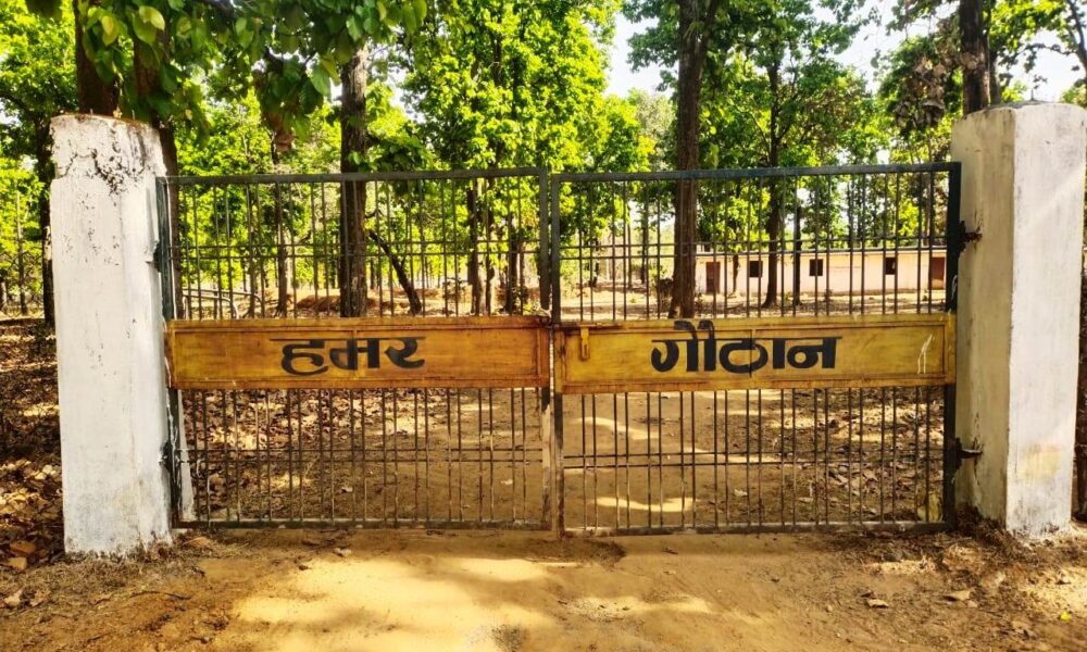 1775828507 3393d0a50a3847a3c032cxv