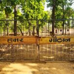 1775828507 3393d0a50a3847a3c032cxv