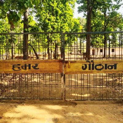 1775828507 3393d0a50a3847a3c032cxv