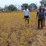 1775838463 5cd558b4a9690d495d6b