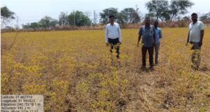 1775838463 5cd558b4a9690d495d6b