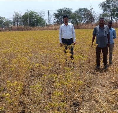 1775838463 5cd558b4a9690d495d6b