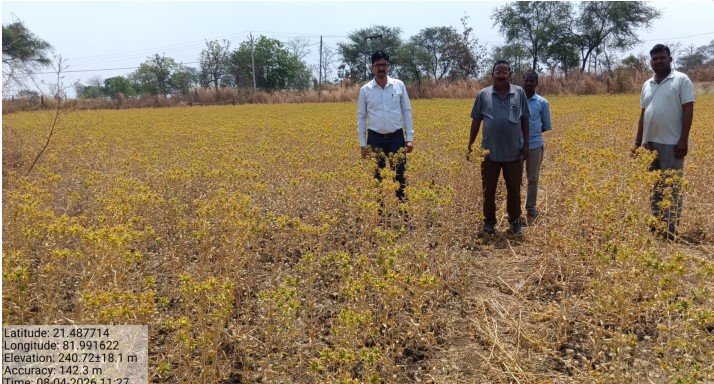 1775838463 5cd558b4a9690d495d6b