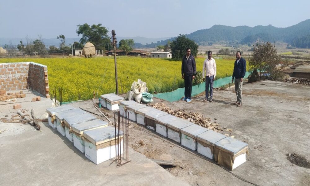 1775897775 b2c4f51a9c8f27b4b136