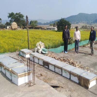 1775897775 b2c4f51a9c8f27b4b136