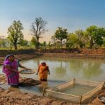 1776339896 5c4f1e6ac592e961228b