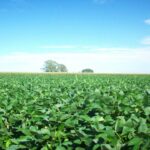 1776423984 f8ab5e97cccf10d2da65