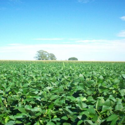 1776423984 f8ab5e97cccf10d2da65